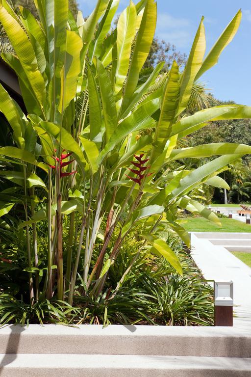 Qualia Hotel Hamilton Island Eksteriør billede